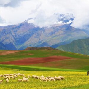 Paardrijdagtocht naar Valley View Point – Puma Orqo- Peru - Afbeelding 2