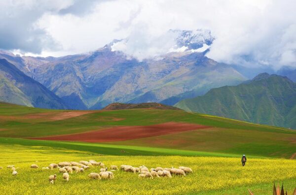 Paardrijdagtocht naar Valley View Point – Puma Orqo- Peru