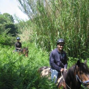 3-daagse paardrijtocht Tufsteensteden Toscane - Italië - Afbeelding 10