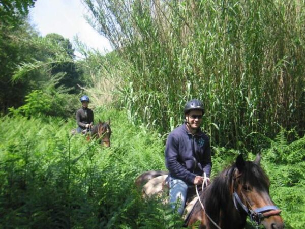 3-daagse paardrijtocht Tufsteensteden Toscane - Italië