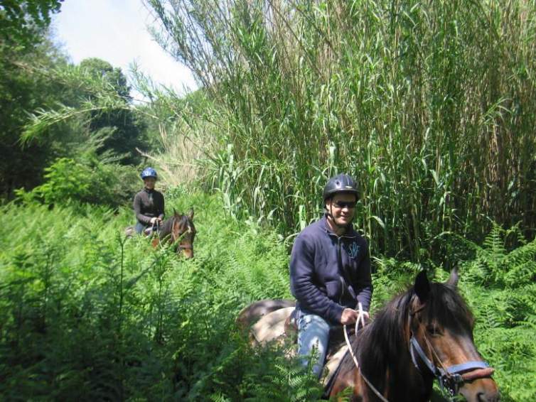 3-daagse paardrijtocht Tufsteensteden Toscane - Italië - Afbeelding 10