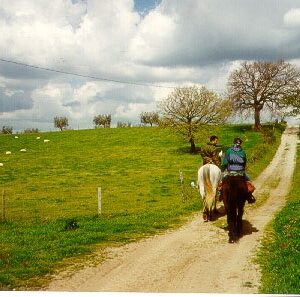 3-daagse paardrijtocht Tufsteensteden Toscane - Italië - Afbeelding 9