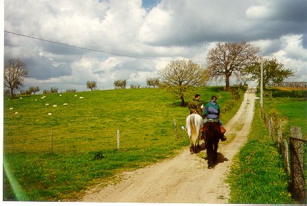3-daagse paardrijtocht Tufsteensteden Toscane - Italië