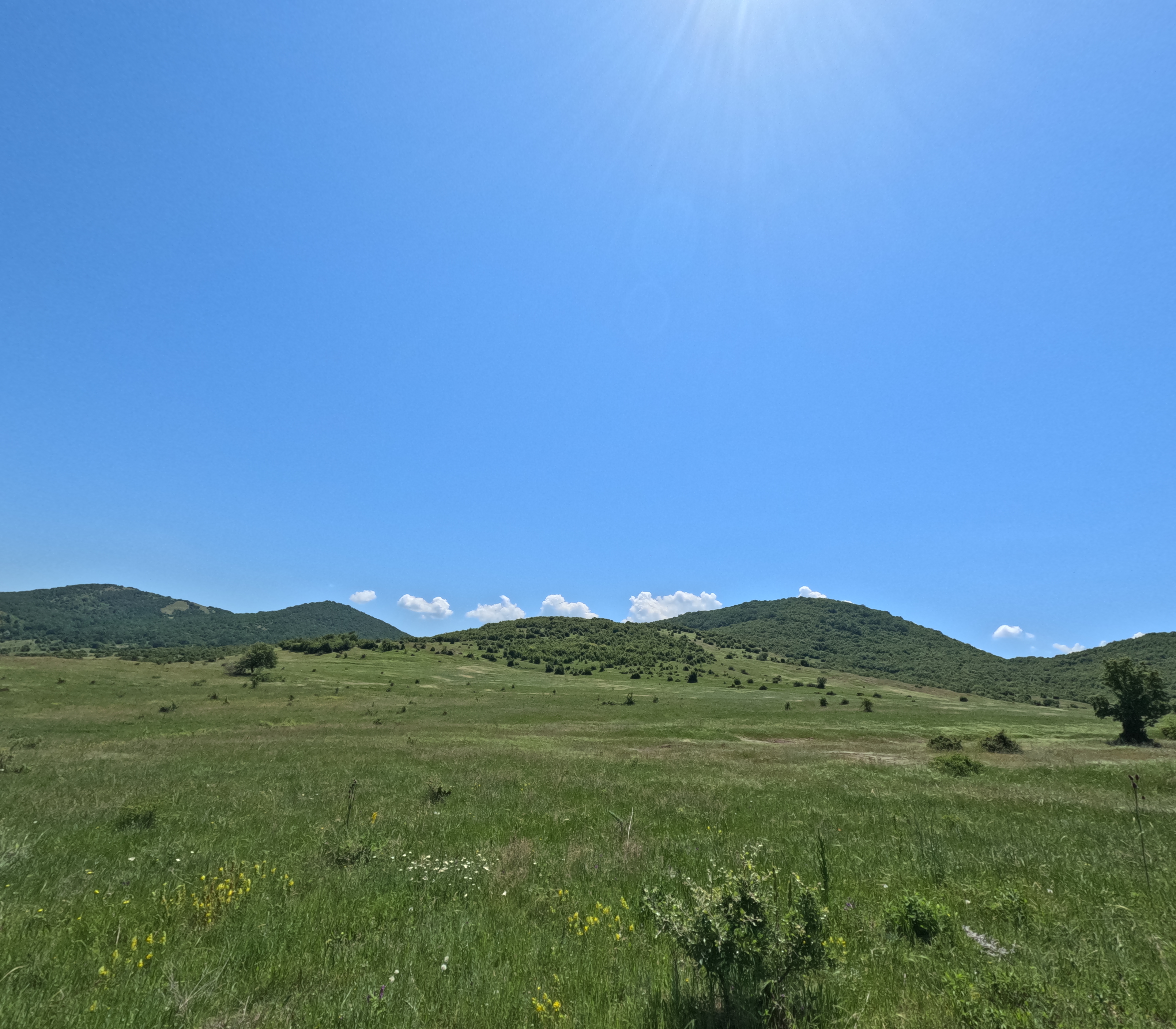 8-daagse paardrijtocht Thracië-tour - Bulgarije - Afbeelding 17