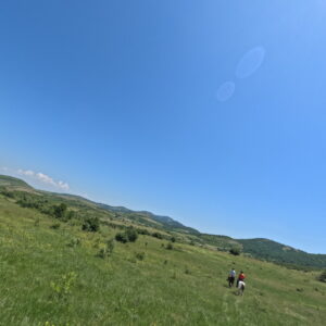 6-daagse paardrijtocht naar de top van het Rhodopegebergte - Bulgarije - Afbeelding 18