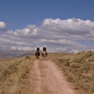 2-daagse paardrijtocht Heilige Vallei - Peru - Afbeelding 4