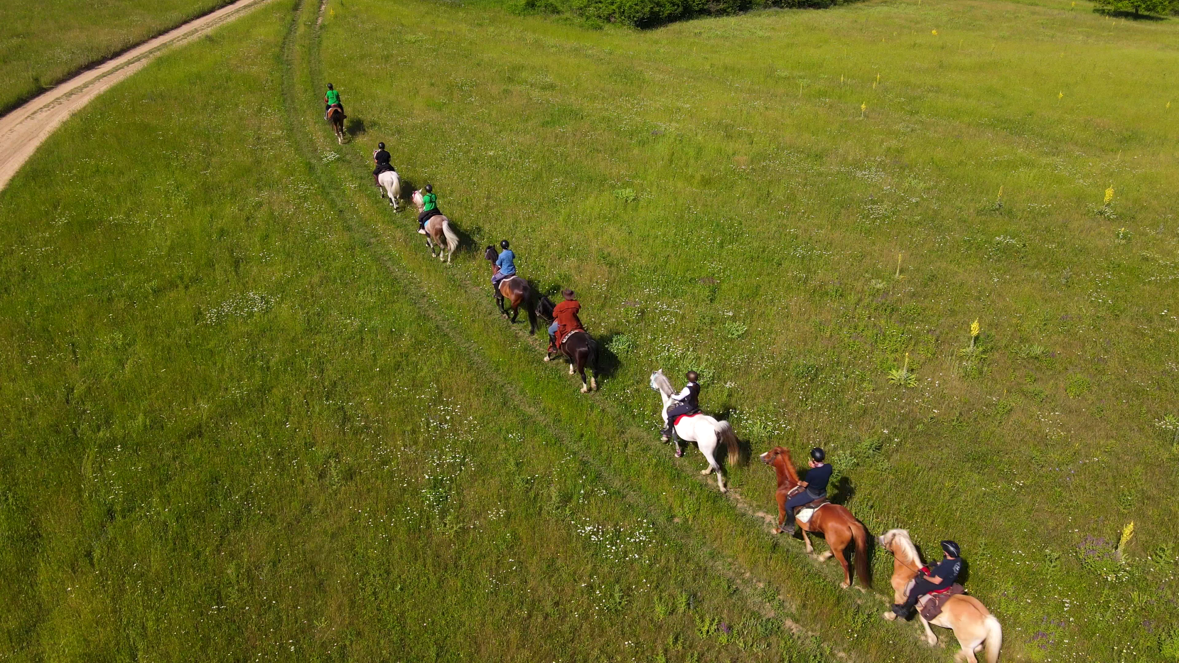 6-daagse paardrijtocht naar de top van het Rhodopegebergte - Bulgarije