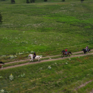 8-daagse paardrijtocht Thracië-tour - Bulgarije - Afbeelding 4