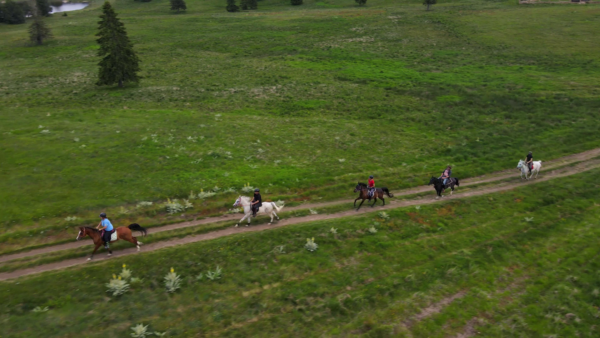 8-daagse paardrijtocht Thracië-tour - Bulgarije