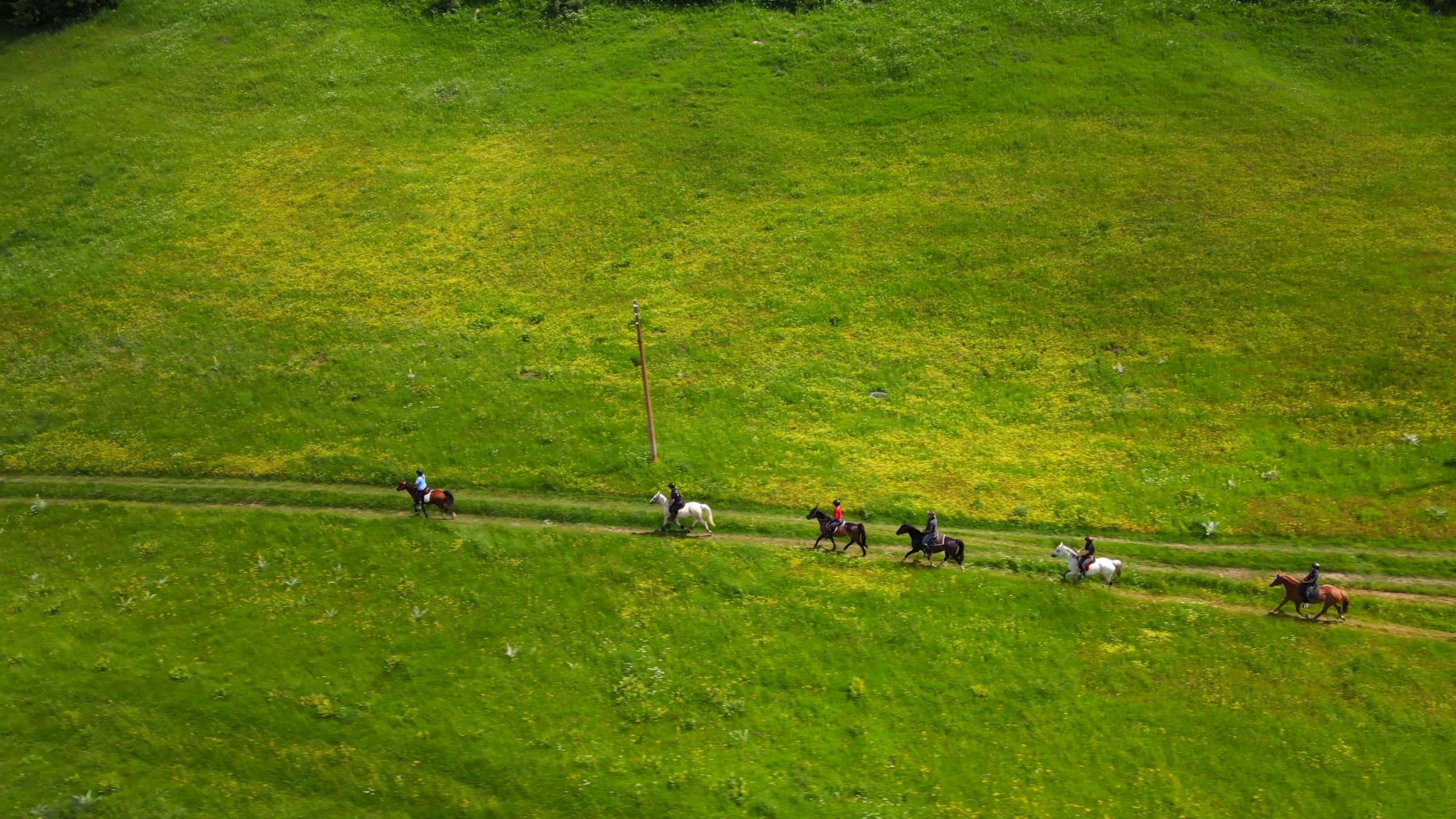7-daagse paardrijtocht KarabalKan - Bulgarije - Afbeelding 4
