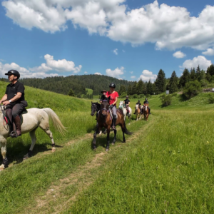 8-daagse paardrijtocht Thracië-tour - Bulgarije - Afbeelding 3
