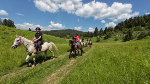 8-daagse paardrijtocht Thracië-tour - Bulgarije