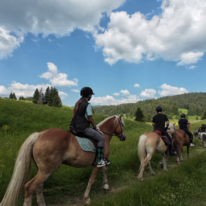 6-daagse paardrijtocht naar de top van het Rhodopegebergte - Bulgarije - Afbeelding 3