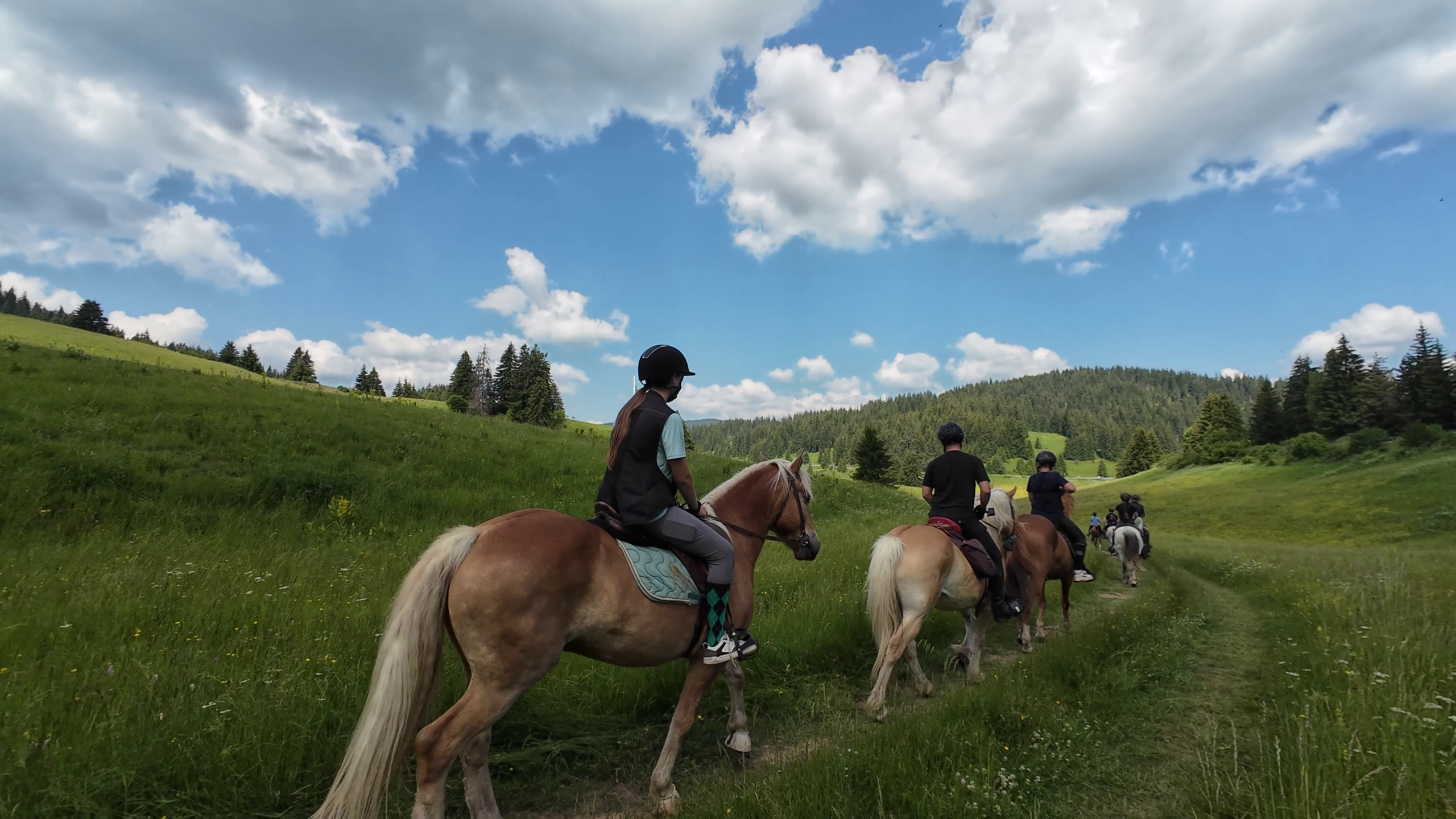 6-daagse paardrijtocht naar de top van het Rhodopegebergte - Bulgarije - Afbeelding 3