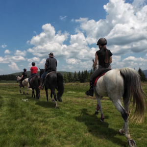 7-daagse paardrijtocht KarabalKan - Bulgarije - Afbeelding 3