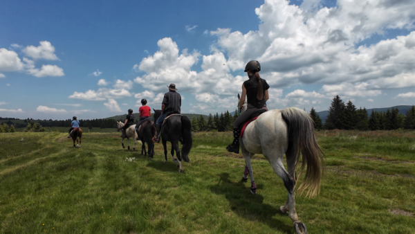 7-daagse paardrijtocht KarabalKan - Bulgarije