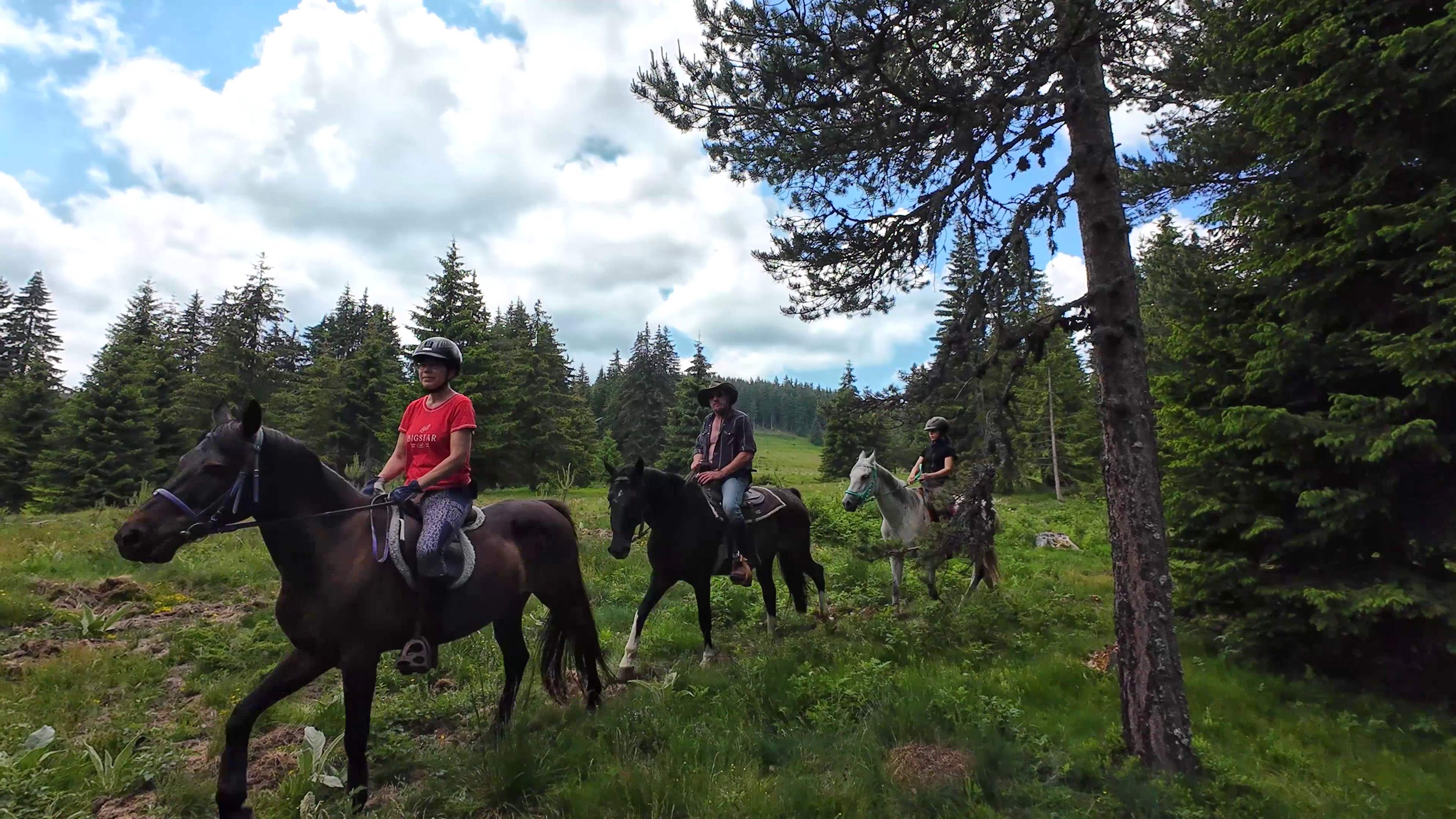 8-daagse paardrijtocht Thracië-tour - Bulgarije - Afbeelding 2