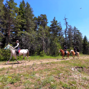 6-daagse paardrijtocht naar de top van het Rhodopegebergte - Bulgarije - Afbeelding 2
