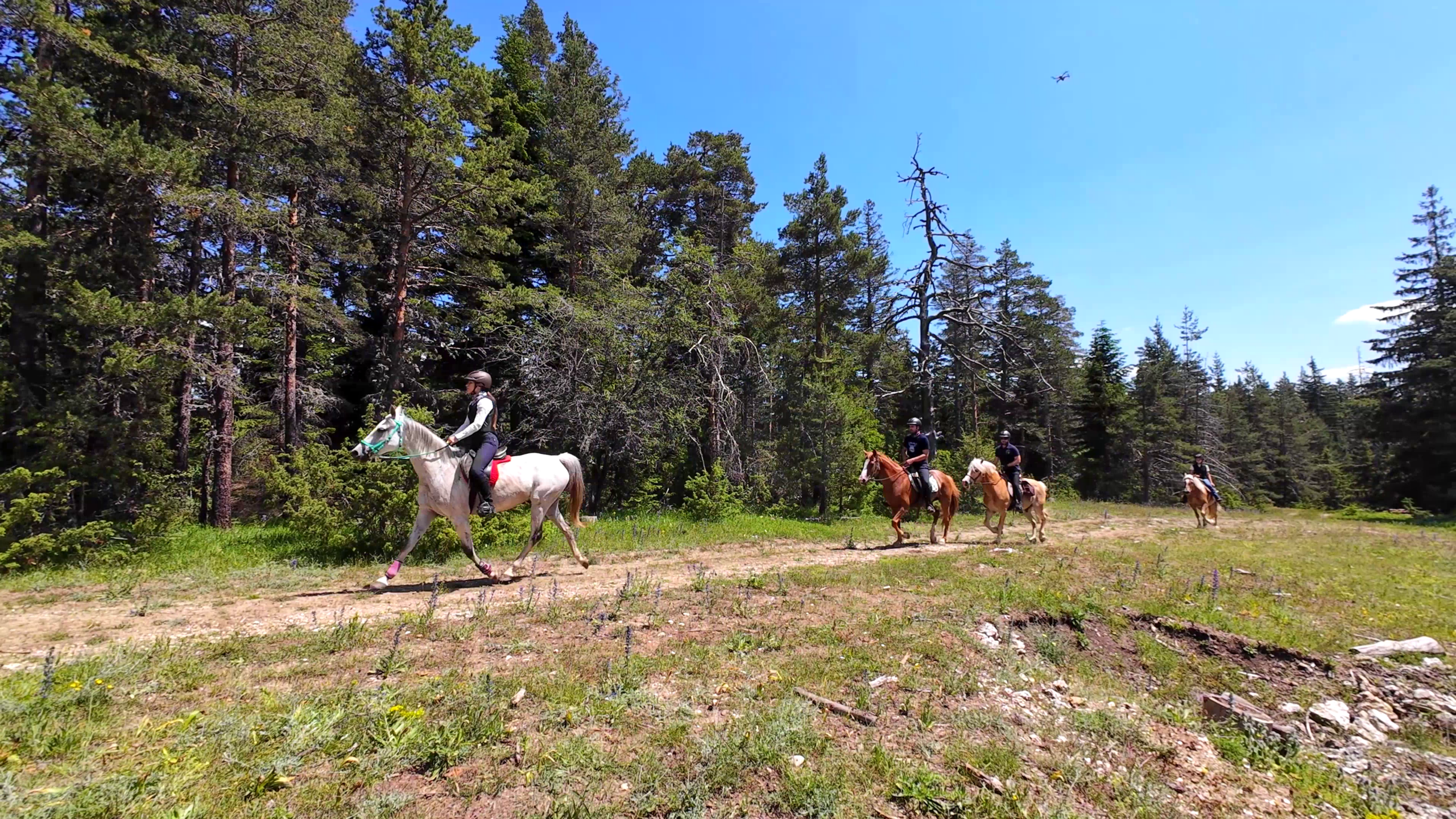 6-daagse paardrijtocht naar de top van het Rhodopegebergte - Bulgarije - Afbeelding 2