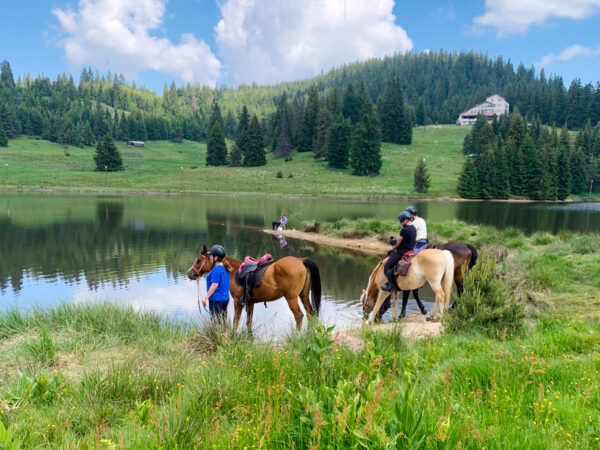 7-daagse paardrijtocht KarabalKan - Bulgarije
