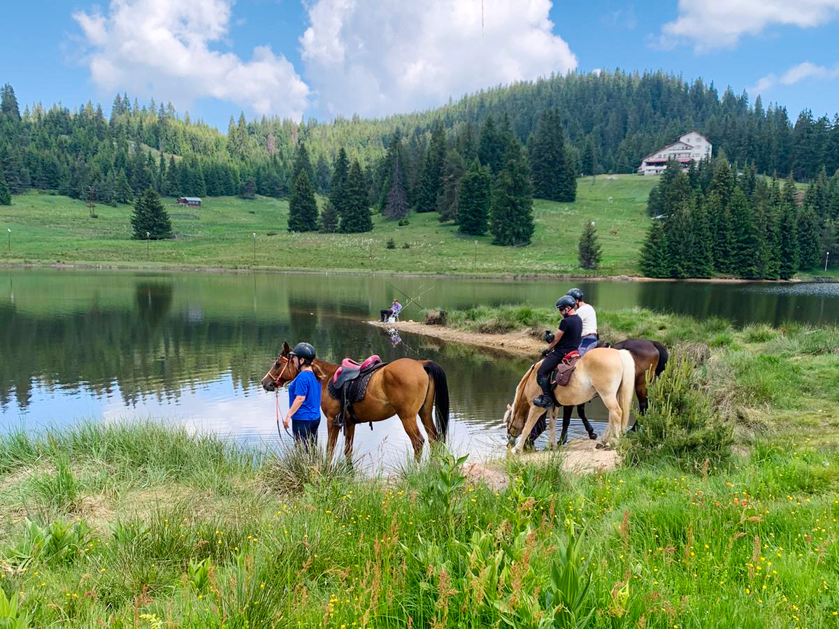 7-daagse paardrijtocht KarabalKan - Bulgarije - Afbeelding 1