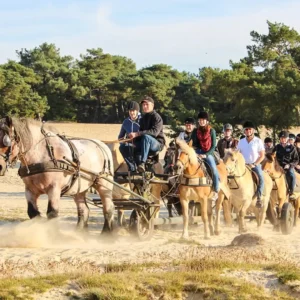 Hittax (evt. met overnachting) - Loonse en Drunense Duinen Noord-Brabant - Nederland - Afbeelding 4