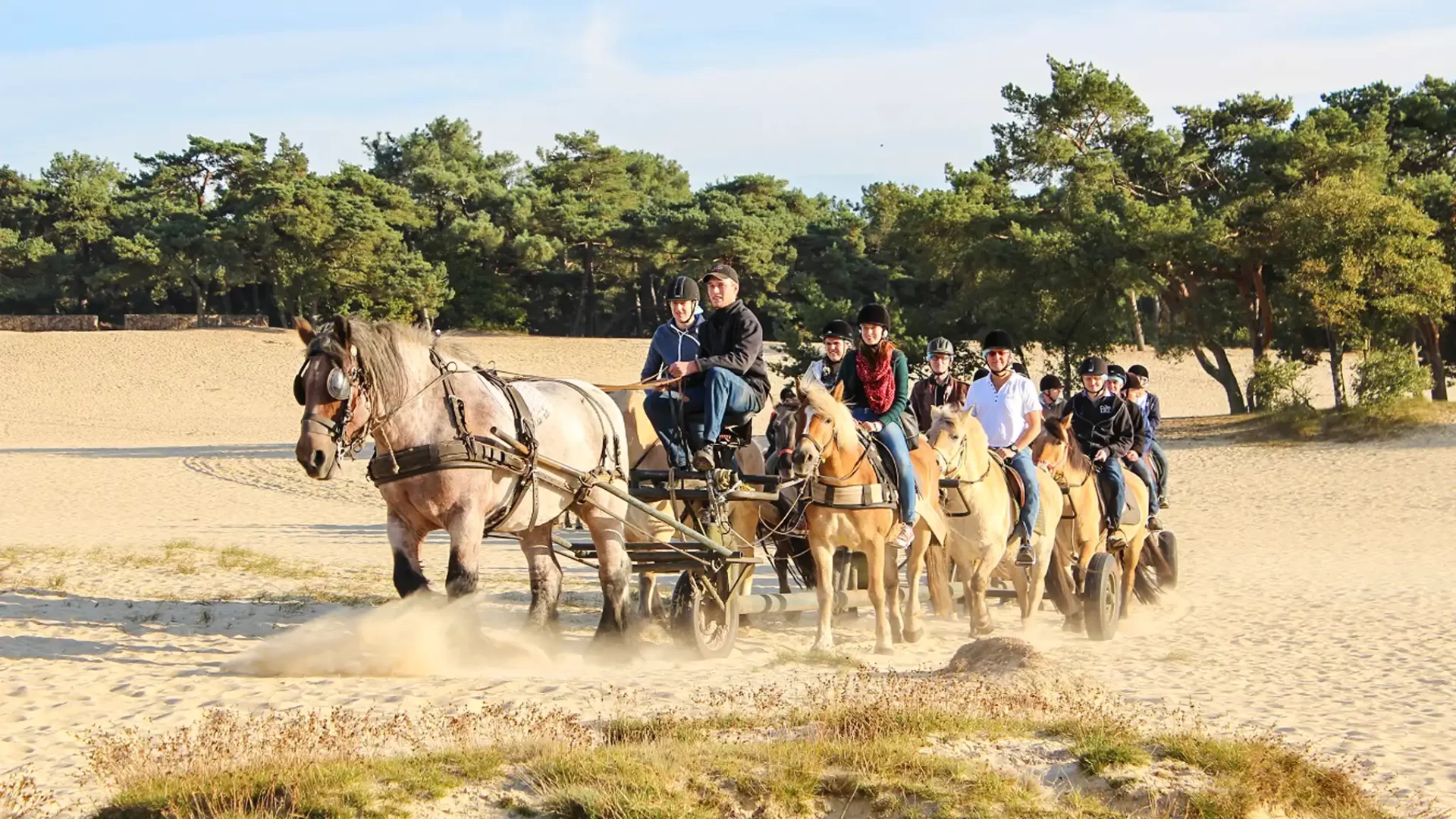 Hittax (evt. met overnachting) - Loonse en Drunense Duinen Noord-Brabant - Nederland