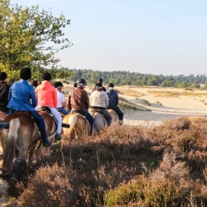 Hittax (evt. met overnachting) - Loonse en Drunense Duinen Noord-Brabant - Nederland - Afbeelding 2