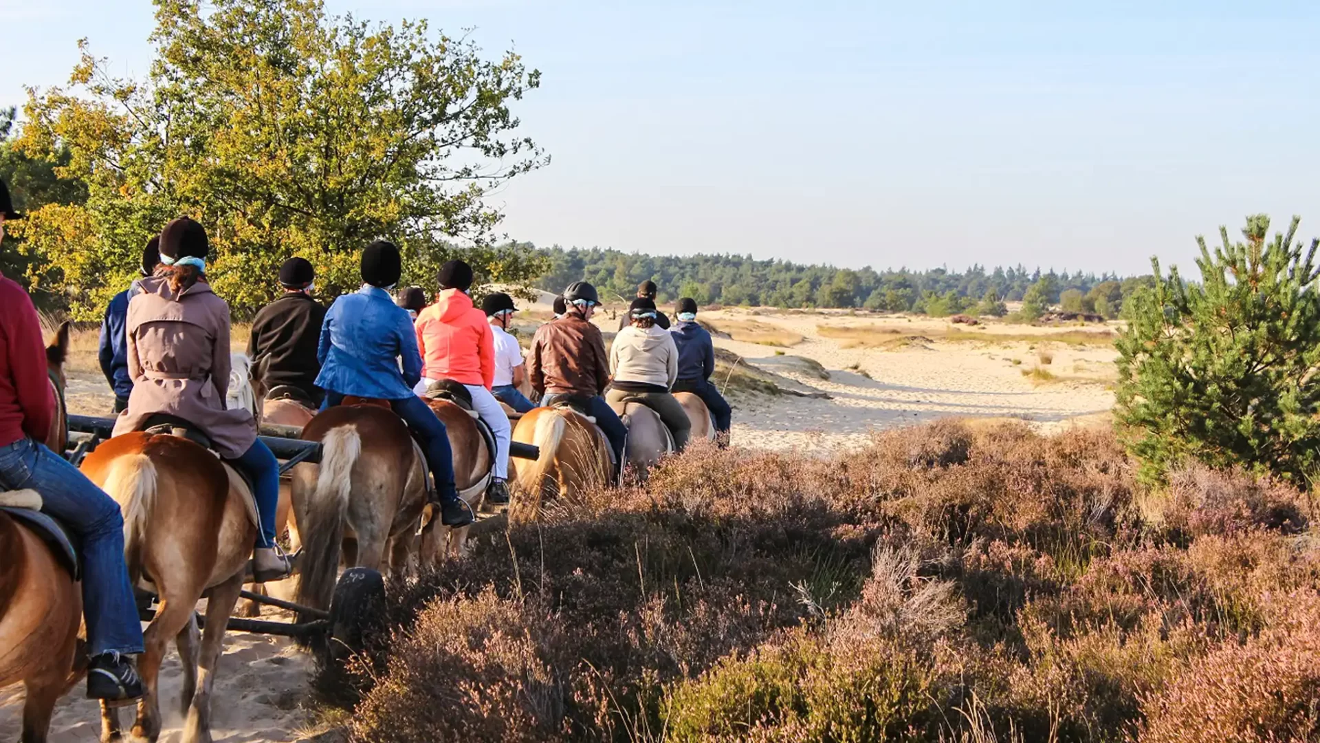 Hittax (evt. met overnachting) - Loonse en Drunense Duinen Noord-Brabant - Nederland