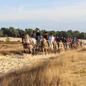 Hittax (evt. met overnachting) - Loonse en Drunense Duinen Noord-Brabant - Nederland - Afbeelding 3