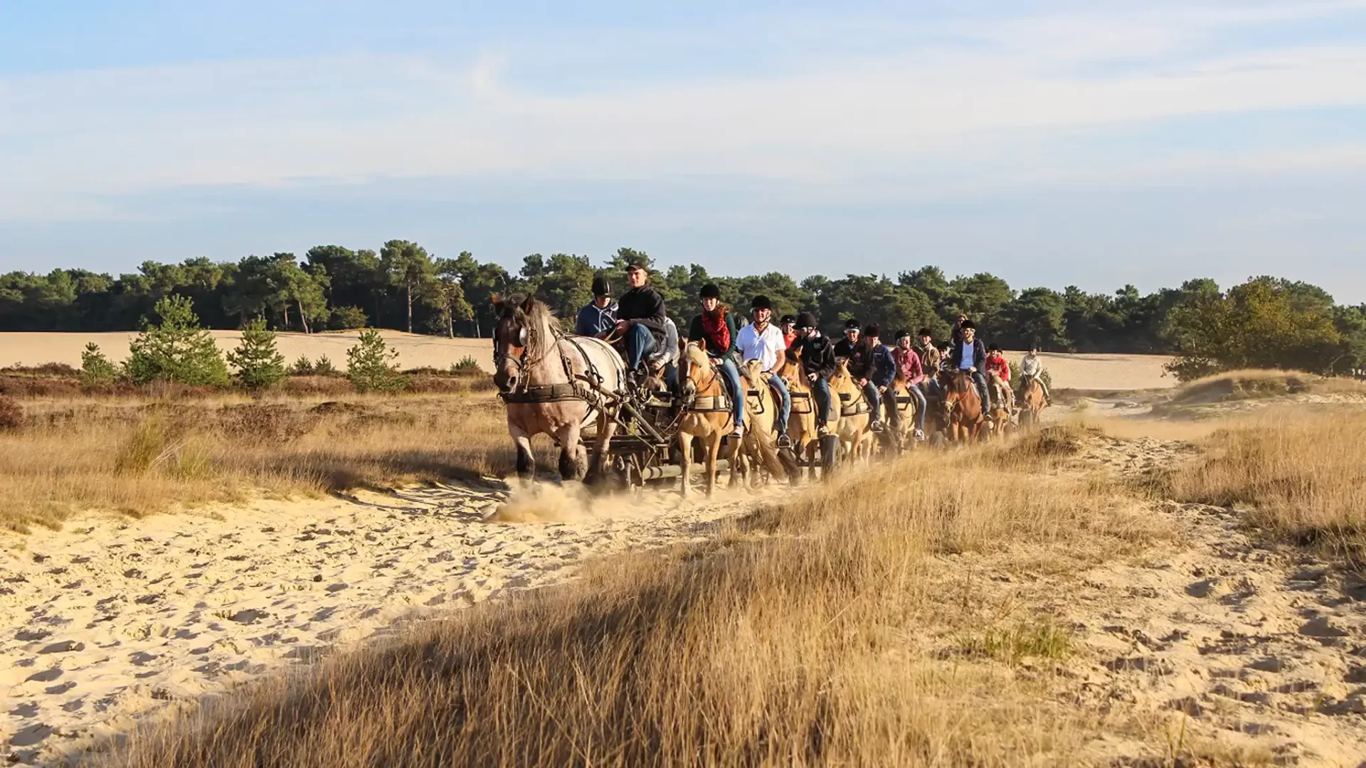 Hittax (evt. met overnachting) - Loonse en Drunense Duinen Noord-Brabant - Nederland