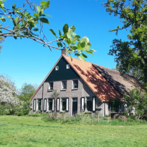 Met je eigen paard op vakantie met arrangementen in Wateren Drenthe - Nederland - Afbeelding 10