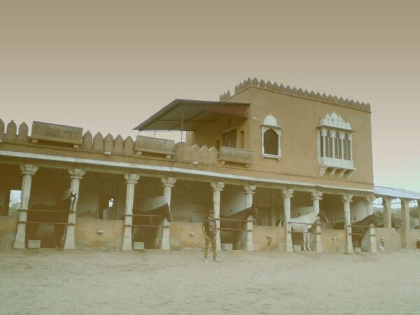 Standplaats paardrijvakantie Narlai Rajasthan – India