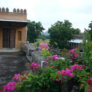 Standplaats paardrijvakantie Narlai Rajasthan – India - Afbeelding 18