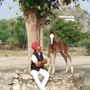 Standplaats paardrijvakantie Narlai Rajasthan – India - Afbeelding 15