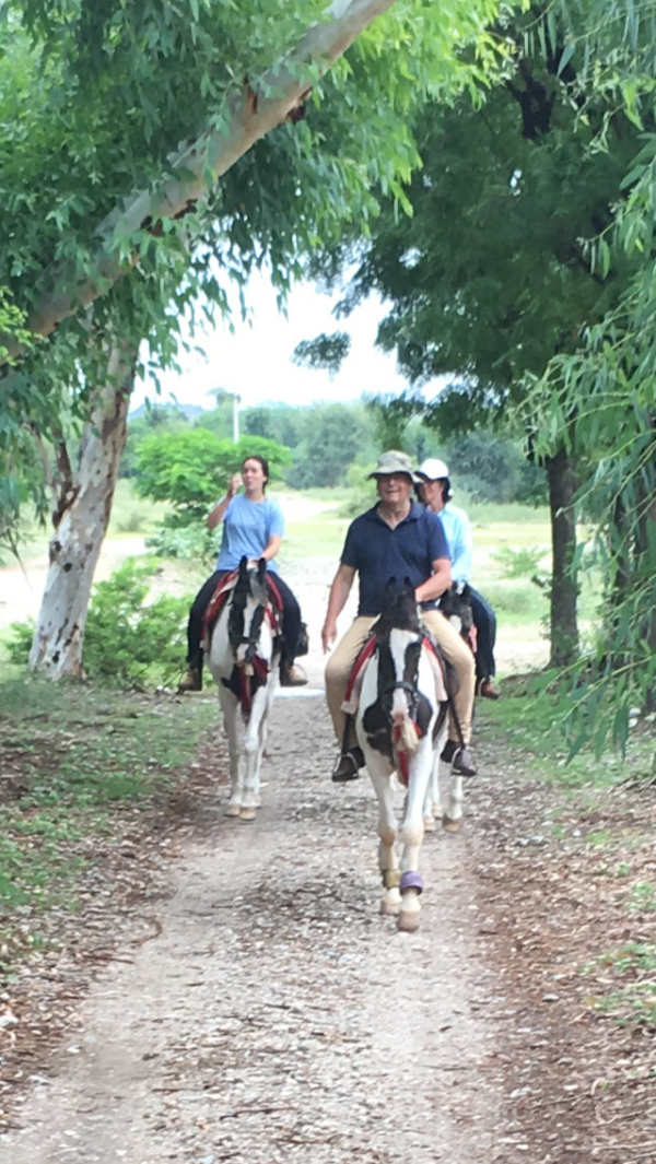 Standplaats paardrijvakantie Narlai Rajasthan – India