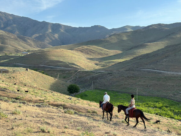 6-daagse paardrijtocht en kampeerexpeditie door de Nuratau-bergen - Oezbekistan