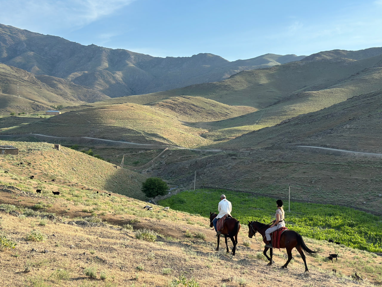 6-daagse paardrijtocht en kampeerexpeditie door de Nuratau-bergen - Oezbekistan - Afbeelding 8