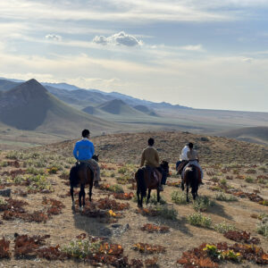 2-daagse paardrijtocht door de Nuratau-bergen - Oezbekistan - Afbeelding 2