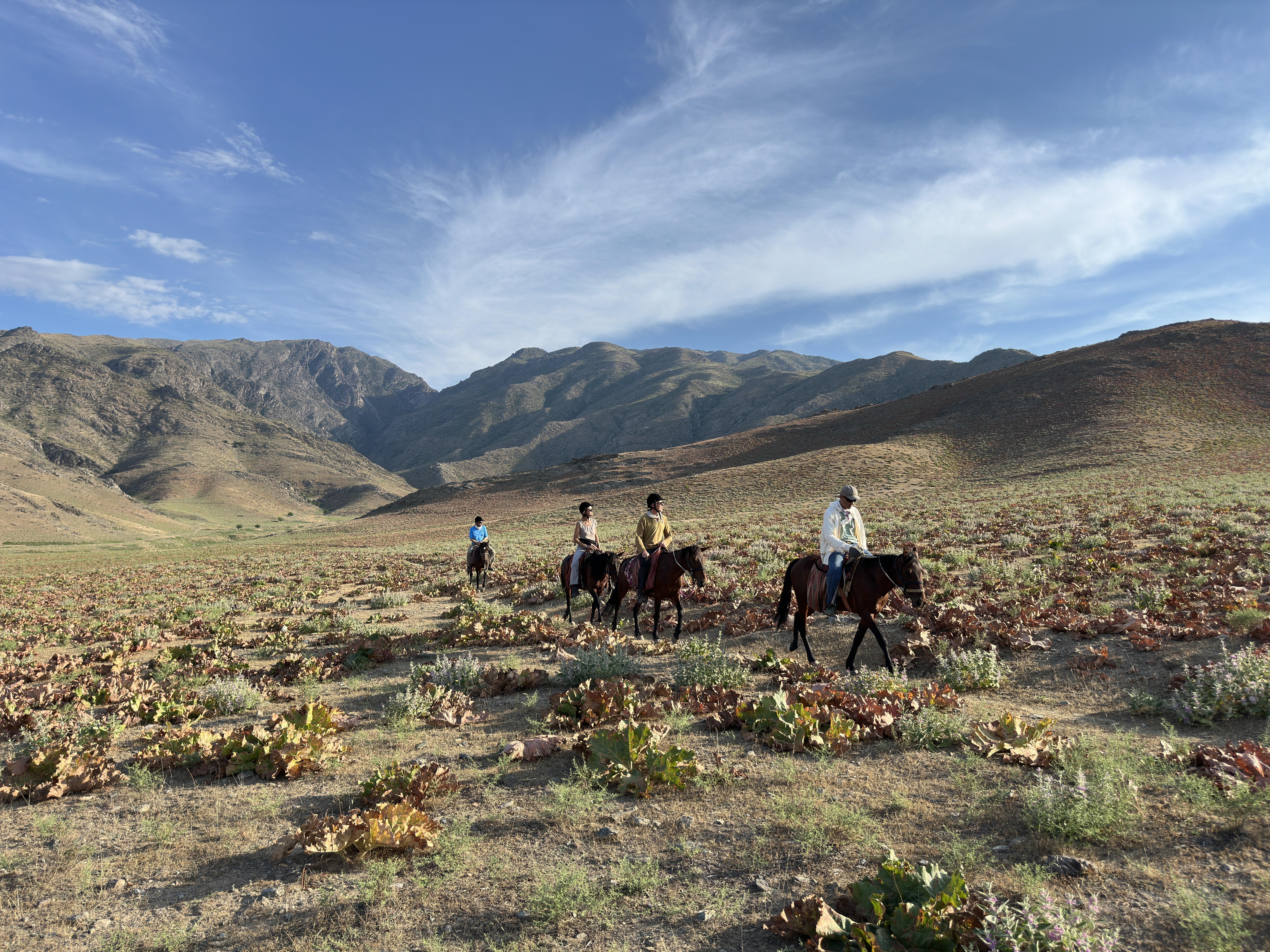 6-daagse paardrijtocht en kampeerexpeditie door de Nuratau-bergen - Oezbekistan - Afbeelding 2