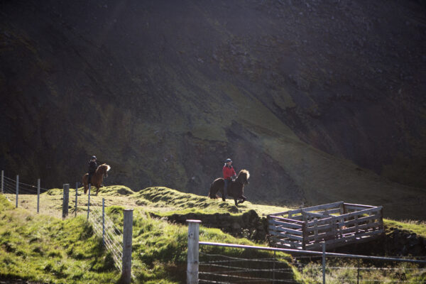 6-daagse paardrijtocht Hekla vulkaan - IJsland
