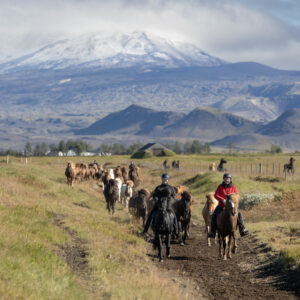 6-daagse paardrijtocht Hekla vulkaan - IJsland - Afbeelding 6