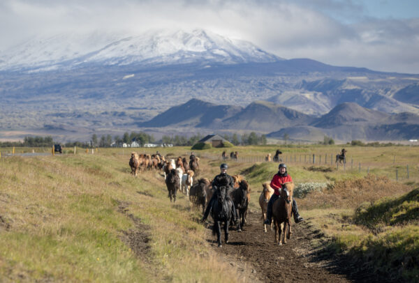 6-daagse paardrijtocht Hekla vulkaan - IJsland