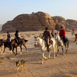 10-daagse paardrijtocht door Wadi Rum - Jordanië - Afbeelding 10