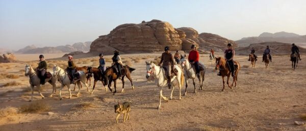 10-daagse paardrijtocht door Wadi Rum - Jordanië