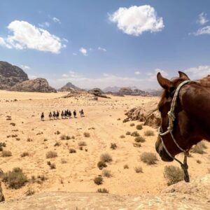 10-daagse paardrijtocht van Petra naar Wadi Rum - Jordanië - Afbeelding 9