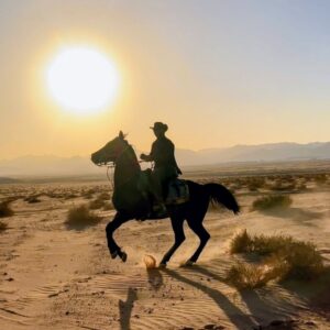 10-daagse paardrijtocht van Petra naar Wadi Rum - Jordanië - Afbeelding 8