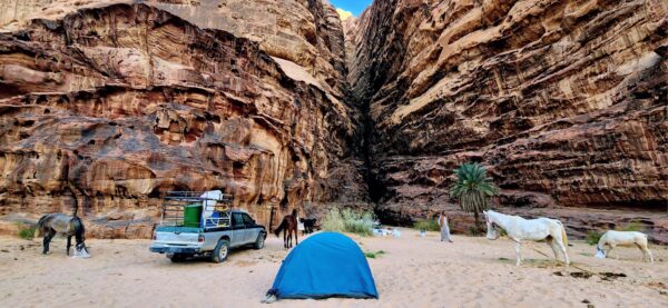 10-daagse paardrijtocht van Petra naar Wadi Rum - Jordanië