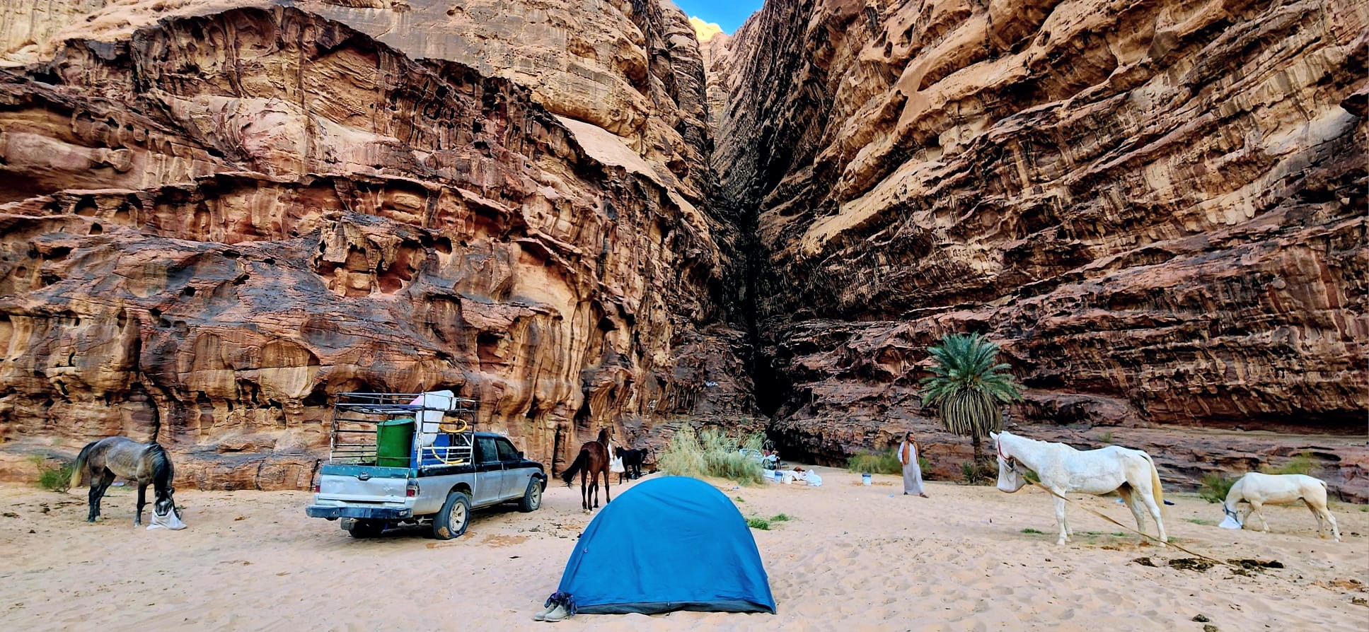 10-daagse paardrijtocht van Petra naar Wadi Rum - Jordanië - Afbeelding 6
