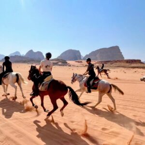 10-daagse paardrijtocht door Wadi Rum - Jordanië - Afbeelding 5